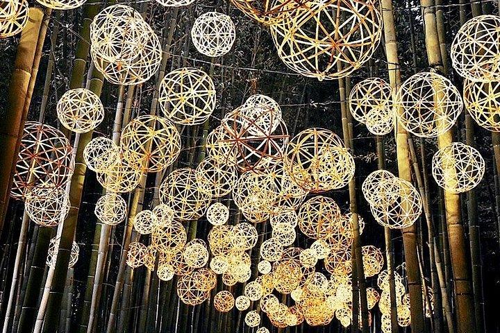紅葉ライトアップ付き京都プライベートナイトツアー（ホテル送迎）