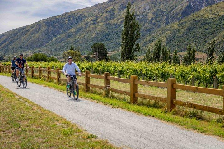 ギブストンのワイナリーを巡る電動自転車アドベンチャー