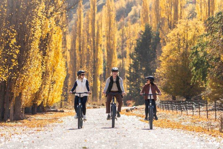 ギブストンのワイナリーを巡る電動自転車アドベンチャー