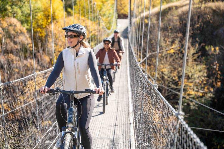 ギブストンのワイナリーを巡る電動自転車アドベンチャー