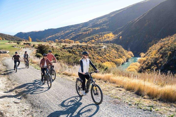 E-Bike Adventures Through the Wineries in Gibbston