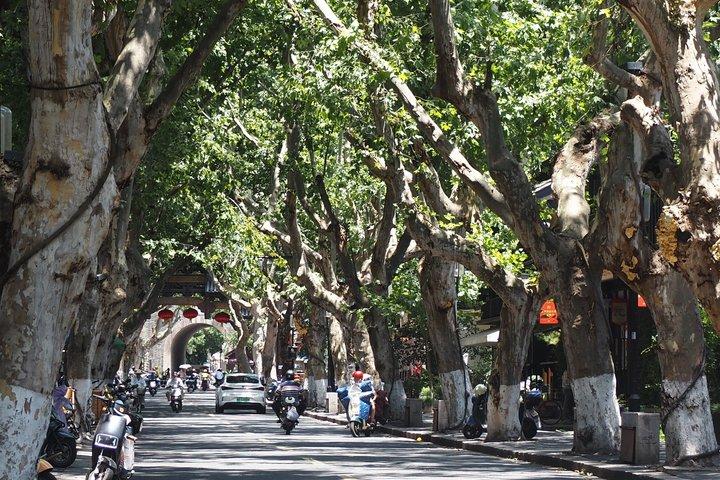 杭州市場 西湖&運河一日ツアーを満喫しよう