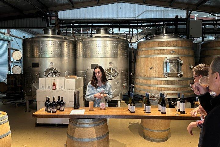 Hawke’s Bay Luxury Wine Tour for Two with Winery Lunch
