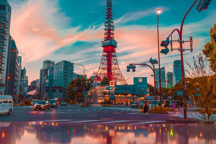 東京プライベートチャーター(ドライバー付き)- 5時間または10時間