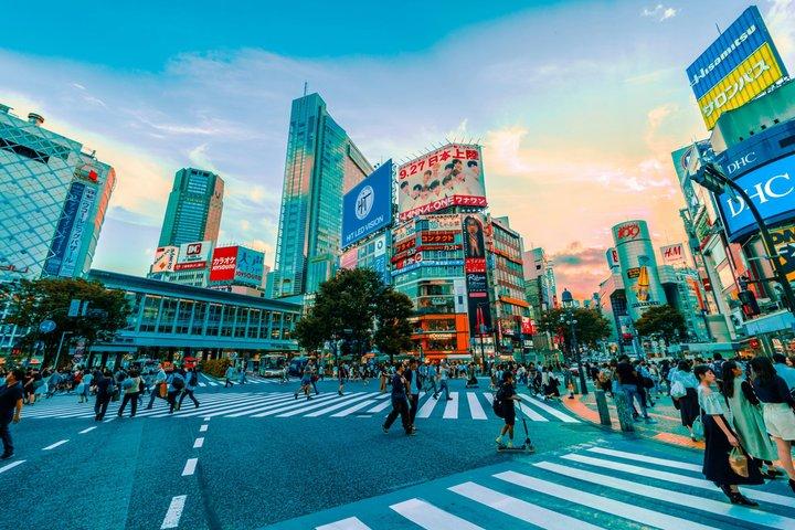 東京プライベートチャーター(ドライバー付き)- 5時間または10時間