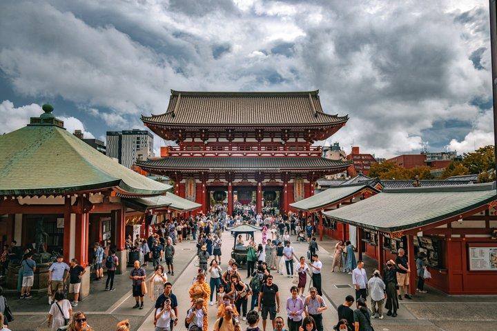 東京プライベートチャーター(ドライバー付き)- 5時間または10時間