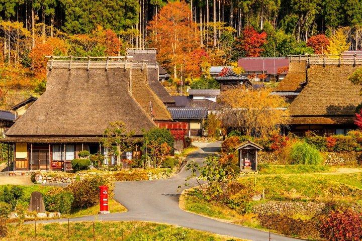 天橋立・美山1 日帰りバスツアー : 大阪・京都から昼食付き