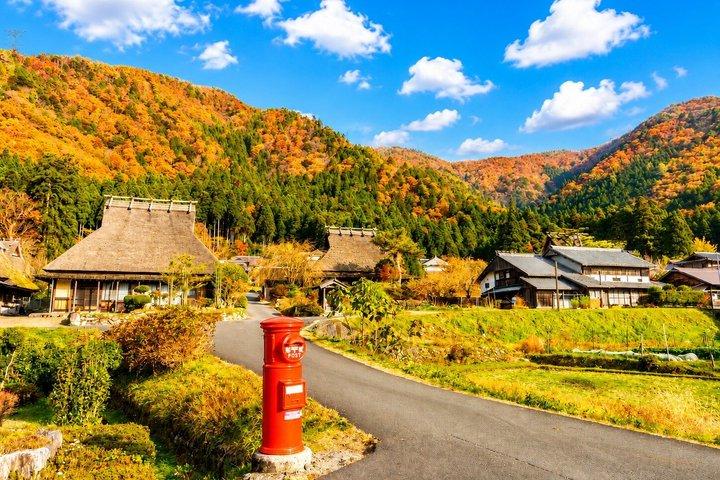天橋立・美山1 日帰りバスツアー : 大阪・京都から昼食付き