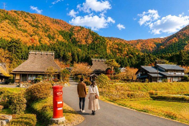 天橋立・美山1 日帰りバスツアー : 大阪・京都から昼食付き