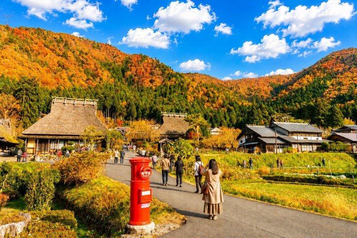 天橋立・美山1 日帰りバスツアー : 大阪・京都から昼食付き