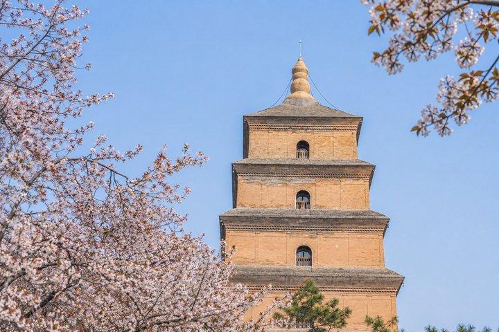 西安の三つのアイコン：テラコッタ軍団、塔、唐の夜