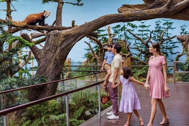 Universal Studios Singapore Theme Park Admission Ticket