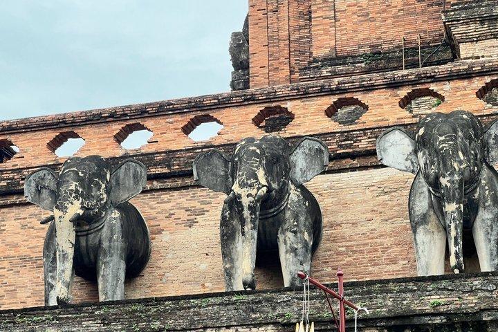 チェンマイ：ワットチェディルアンでの本物の僧侶体験