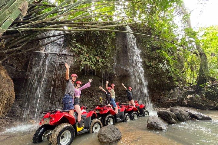 バリ島ATVツアー、棚田、ウブドスイング、ラグーンオールインクルーシブ