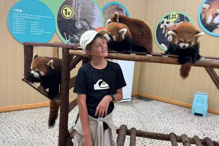 Tour du panda de Dujiangyan/Expérience optionnelle avec gardien de panda roux
