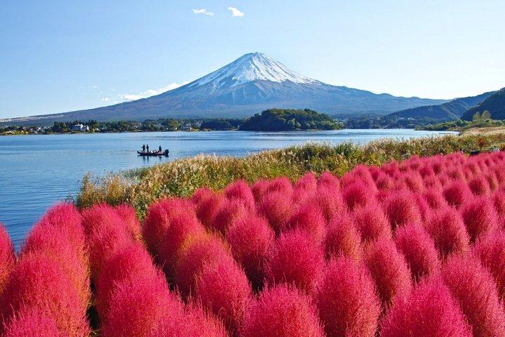Mount Fuji Private Custom Chauffeur Tour with Professional Driver