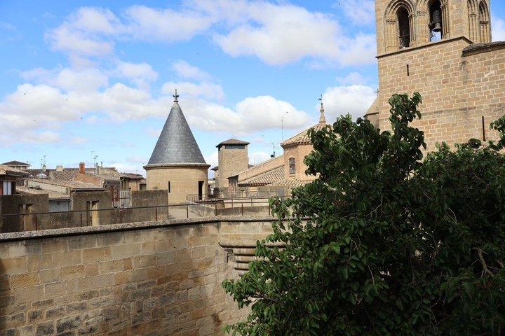 Medieval Navarra: Olite Palace, Javier Castle, Leyre & Lunch