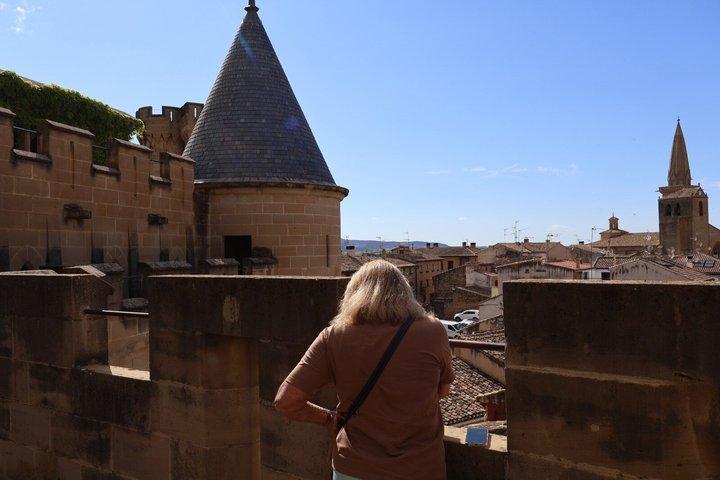 Medieval Navarra: Olite Palace, Javier Castle, Leyre & Lunch