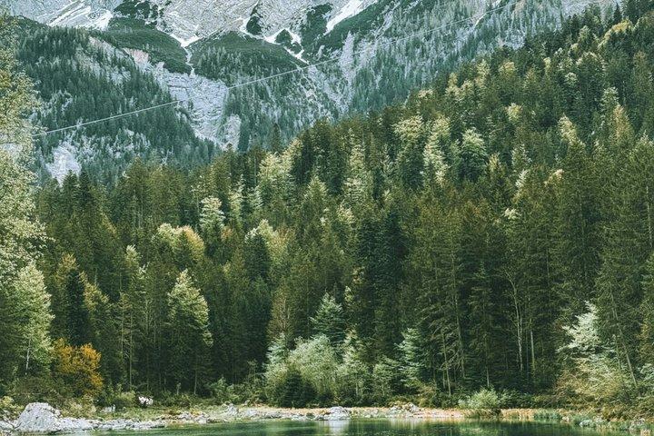Munich: Zugspitze & Eibsee, Neuschwanstein & Alpsee + Austria