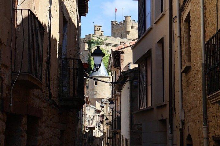 Olite Royal Palace & Local Wine Experience with Gastronomic Lunch