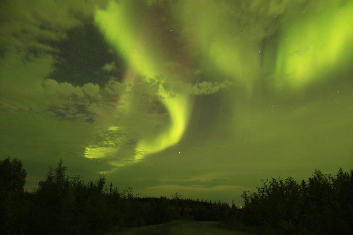 Tour di caccia all'aurora di Yellowknife in autobus