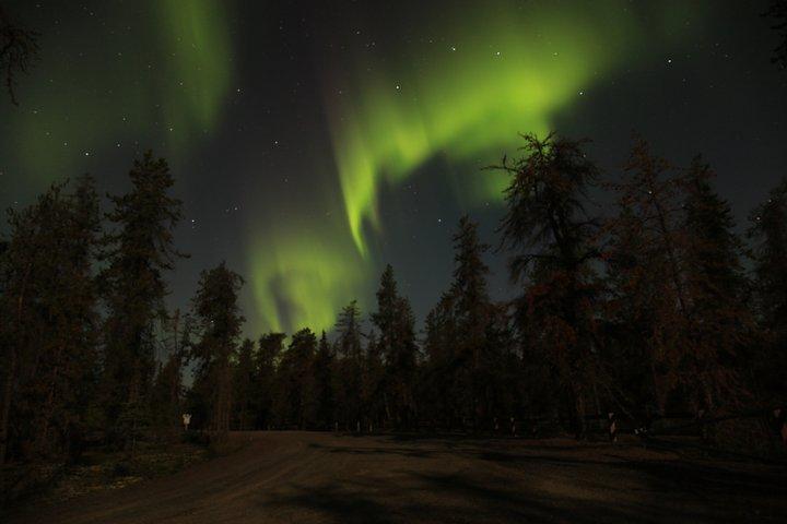 Tour di caccia all'aurora di Yellowknife in autobus