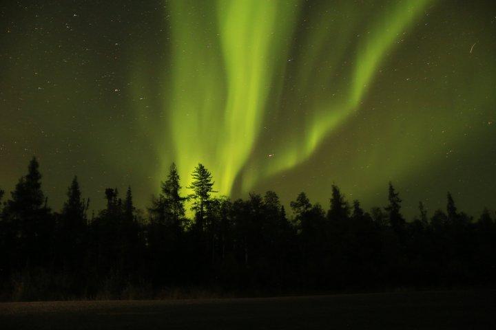 Tour di caccia all'aurora di Yellowknife in autobus