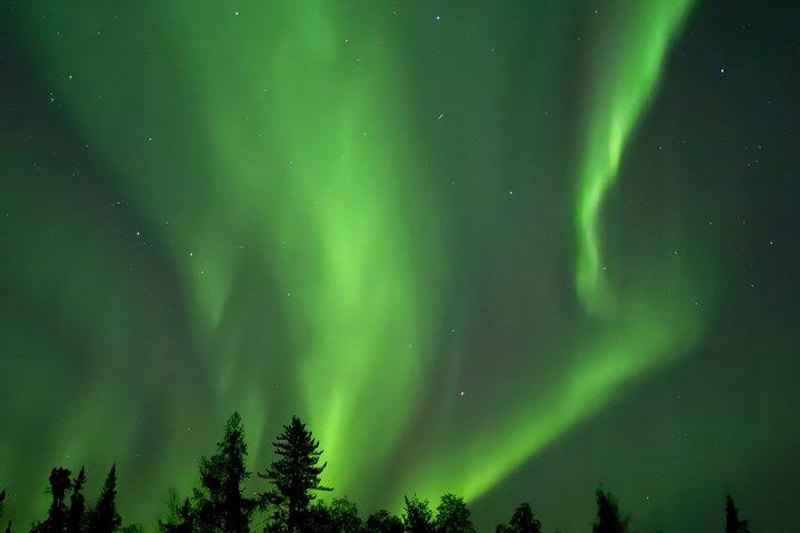 Tour di caccia all'aurora di Yellowknife in autobus