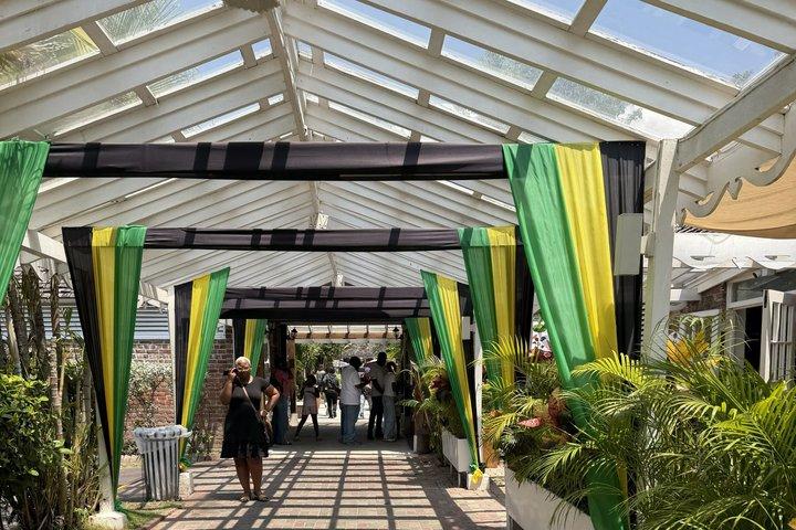 Private Kingston & Bob Marley Tour from Montego Bay: Customizable