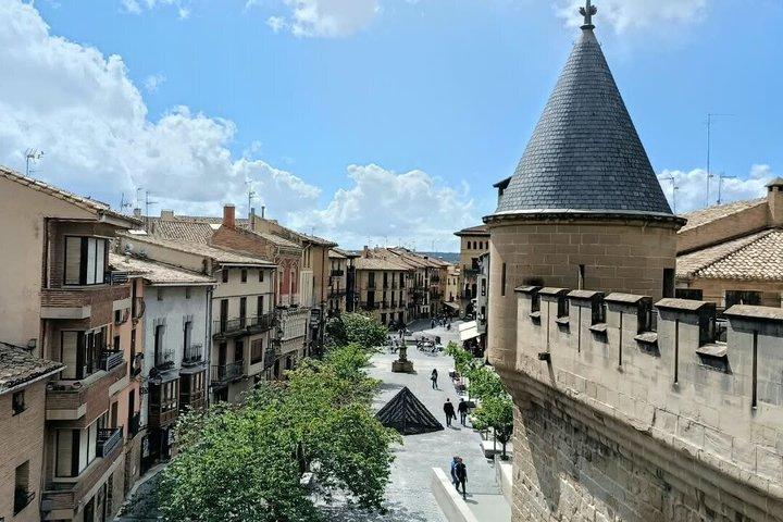 Medieval Navarra: Olite Palace, Javier Castle, Leyre & Lunch