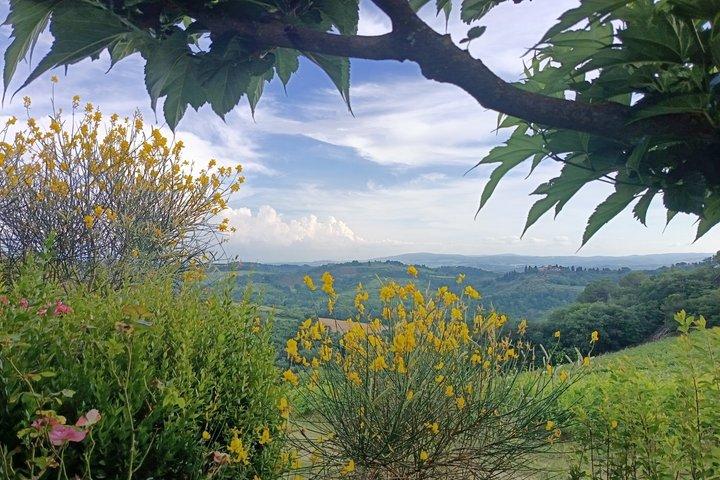 Painting workshop on wine bottles in Tuscany