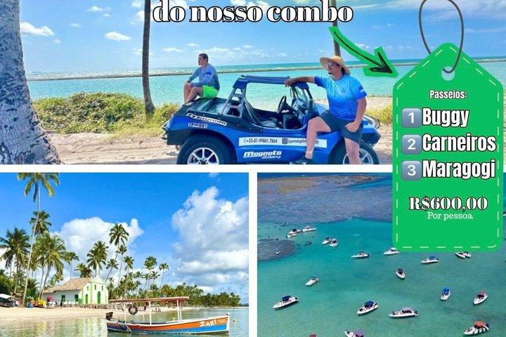 Combo of the 3 Main Port of Chicken Tours