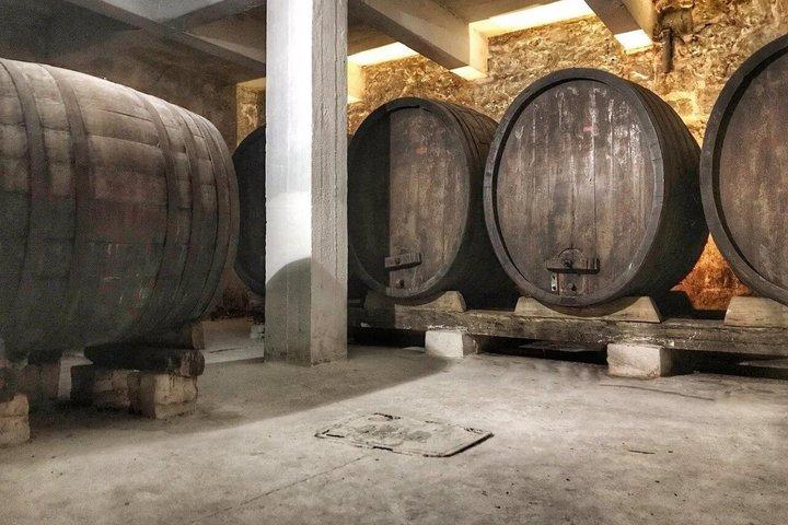 スコピエからのワイン日帰り旅行 2つのワイナリー ストービ遺跡とランチ