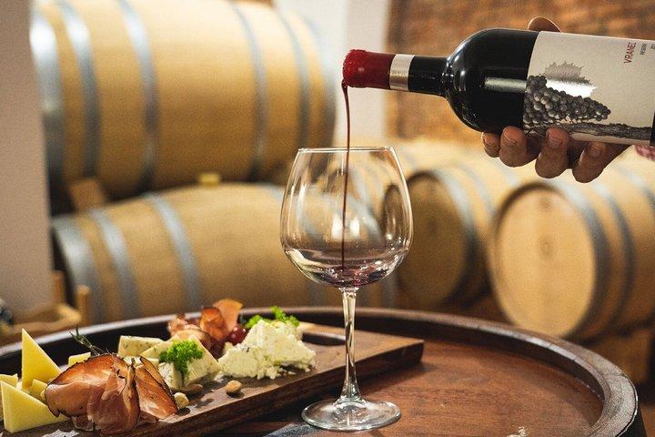 スコピエからのワイン日帰り旅行 2つのワイナリー ストービ遺跡とランチ