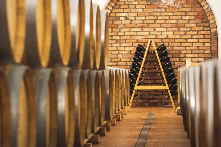 スコピエからのワイン日帰り旅行 2つのワイナリー ストービ遺跡とランチ
