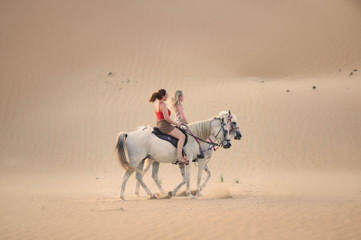 Doha Desert Horse Riding: 2-Hour Ride & Private Transfer