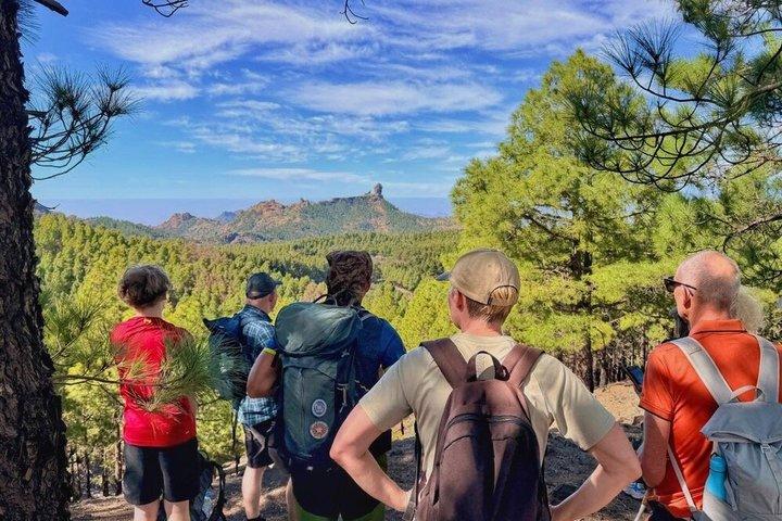 Randonnée d'une journée à Gran Canaria Sommets de Gran Canaria