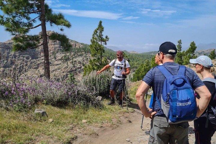 Randonnée d'une journée à Gran Canaria Sommets de Gran Canaria
