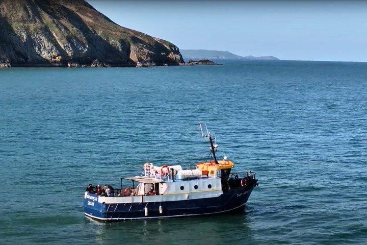 Boottocht door Ierlands oog en Howth Coastal