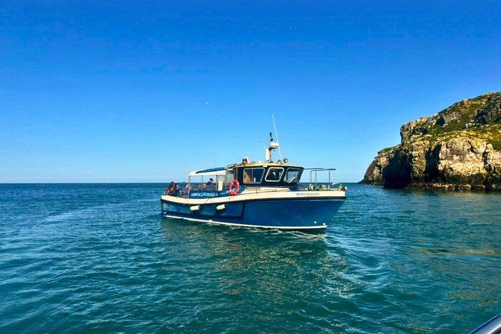 Tour de barco costeiro da Irlanda Eye and Howth
