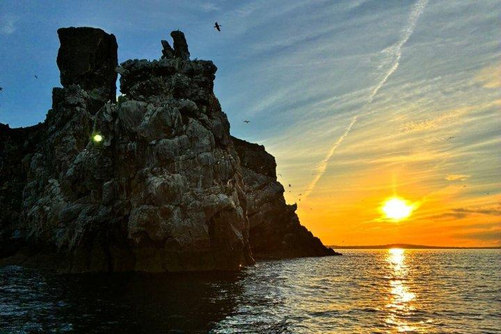 Boottocht door Ierlands oog en Howth Coastal