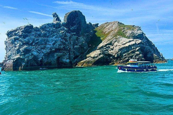 Boottocht door Ierlands oog en Howth Coastal