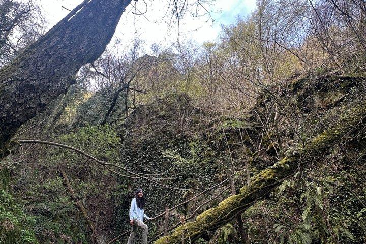 スコピエ発 カメンジャネ滝とシャール山ハイキング