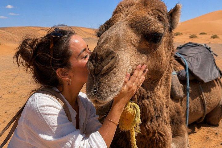 タンジェールを地元民のように：隠された物語、食、モロッコの生活