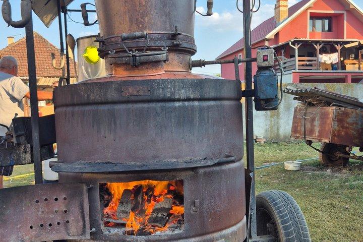 Authentic Rakija Making Experience in Serbia