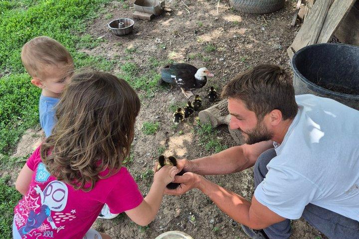 Authentic Rakija Making Experience in Serbia