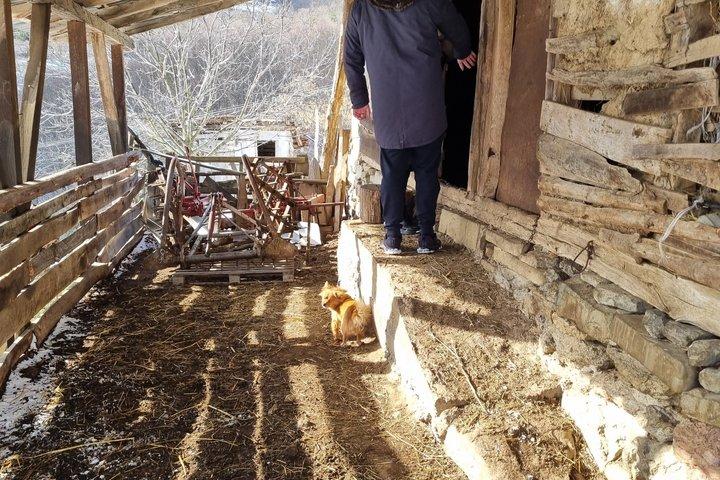 Authentic Rakija Making Experience in Serbia