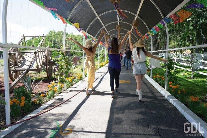 グアダラハラからアジジックのマジック タウン、チャパラ湖へのツアー