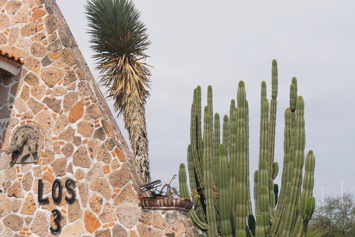 Tur til Lake Chapala, MAGIC TOWN Ajijic fra Guadalajara