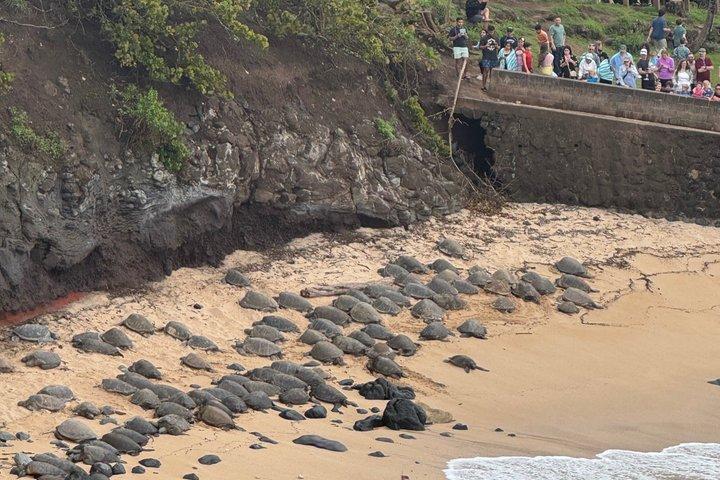 Privatväg till Hana Maui med spanskt och engelskt Guide